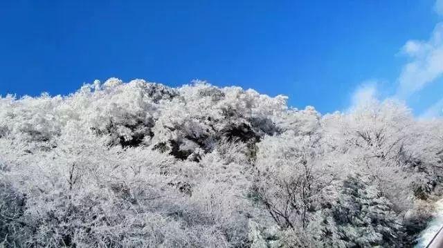 全民剧本大师内置菜单